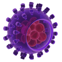 Hepatitis virus structure 3d rendered illustration png