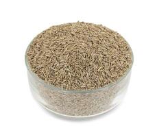 Pile of Dried Cumin Seeds on white Background photo