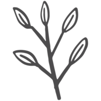 sketch collezione di bosco linea png