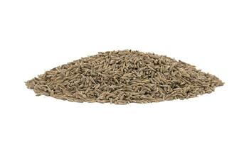 Pile of Dried Cumin Seeds on white Background photo