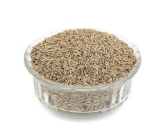 Pile of Dried Cumin Seeds on white Background photo