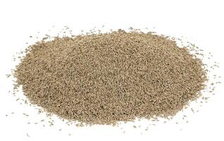 Pile of Dried Cumin Seeds on white Background photo