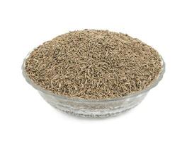 Pile of Dried Cumin Seeds on white Background photo