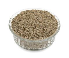 Pile of Dried Cumin Seeds on white Background photo