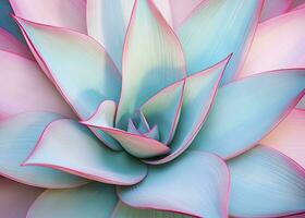 AI generated Agave leaves in trendy pastel colors for design backgrounds. AI Generated photo