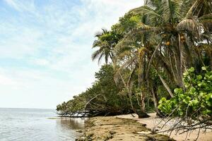 Scenic beach view photo