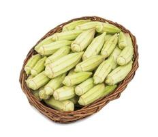 Green okra Vegetable or Lady Finger on White Background photo