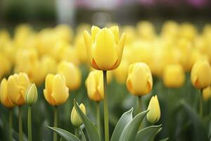 ai generado amarillo tulipán en el jardín. ai generado foto