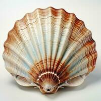 AI generated Watercolor Seashell clipart on white background. AI Generated photo