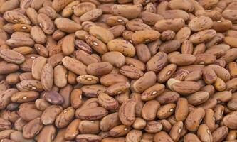 Red Kidney Beans Background photo