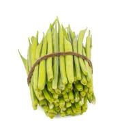Guar or Cluster Bean on White Background photo