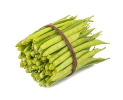 Guar or Cluster Bean on White Background photo