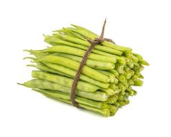 Guar or Cluster Bean on White Background photo