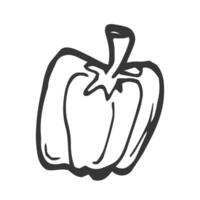 Hand Drawn Bell Pepper. Doodle Vector Sketch