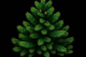 AI generated Brightly Green Prickly Branches of a Fur tree or Pine photo