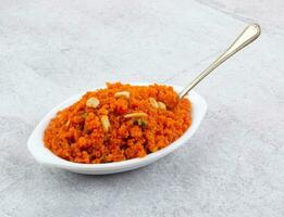 indio popular dulce comida Zanahoria halwa foto