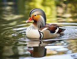 ai generado de cerca de mandarín Pato nadando en lago. generativo ai. foto