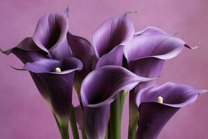 ai generado ramo de flores de púrpura calla lirios en contra púrpura fondo.ai generado foto