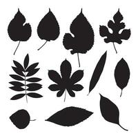 Hand drawn different types of tree collection set vector