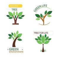 Hand drawn different types of tree collection set vector