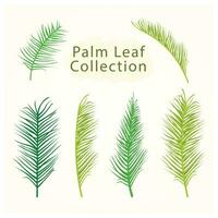 Hand drawn different types of tree collection set vector