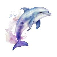 AI generated Watercolor fantasy Baby Dolphin clip art isolated white background. AI Generated photo