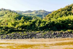 a river with rocks and trees on the shore photo