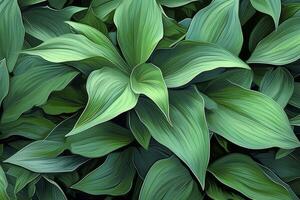AI generated A plant with lots of large green leaves. AI Generated photo