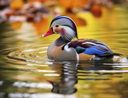 ai generado de cerca de mandarín Pato nadando en lago. generativo ai. foto