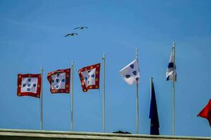 flags of the portuguese republic flying in the sky photo