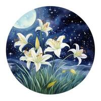 AI generated Watercolor fairy lilies blooming under a starry night sky on a white background. photo