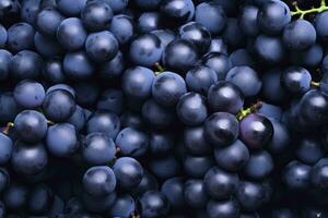 ai generado plano laico antecedentes de vides, un montón de orgánico azul oscuro uvas. ai generado foto