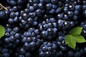 AI generated Flat lay background of vines, lots of organic blue dark grapes. AI Generated photo