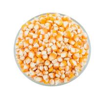 Healthy Dried Corn Seeds on White Background photo