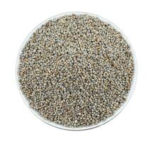Pearl Millet Seeds on White Background photo