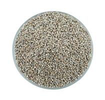 Pearl Millet Seeds on White Background photo