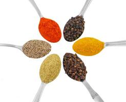 Indian Spices in Spoons on White Background photo