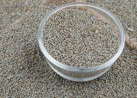 Pearl Millet Seeds Also Know as Bajra photo