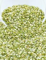 Split Mung Bean Lentils photo