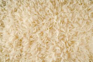 a close up of rice photo