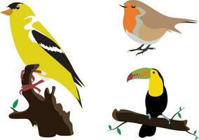 simple bird vector set