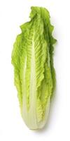 AI generated Lettuce isolated on white background. AI Generated photo