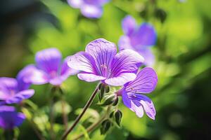 AI generated Geranium wilfordii flower. photo