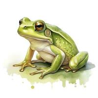 AI generated Watercolor green frog on white background.  AI Generated photo