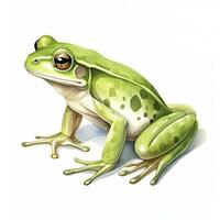 AI generated Watercolor green frog on white background.  AI Generated photo