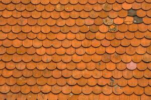 an orange tiled roof photo