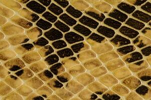 a close up of a snake skin pattern photo