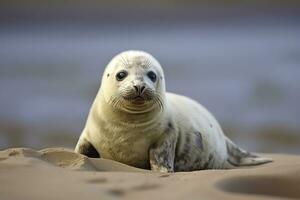 AI generated Harbor seal cub. AI Generated photo