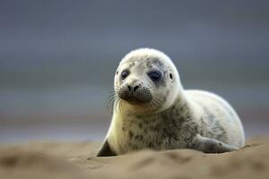 AI generated Harbor seal cub. AI Generated photo