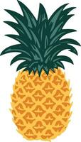 pineapple on white background vector